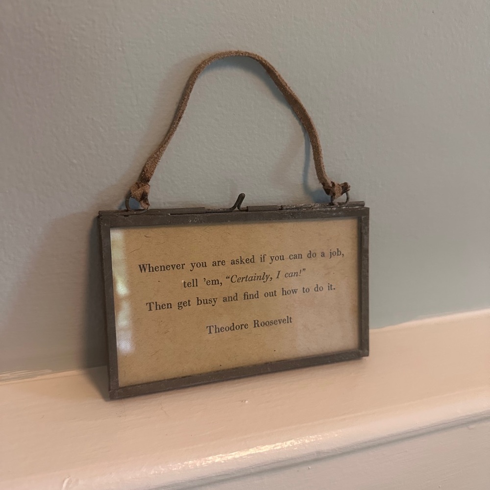 Theodore Roosevelt Hanging Quote